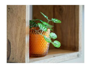Ferienwohnung Pfronten Außenaufnahme 4