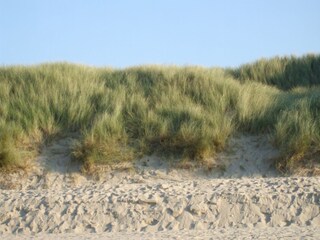 Dünen wie sie sein sollen
