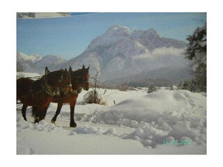 Ferienwohnung Schwangau Außenaufnahme 22