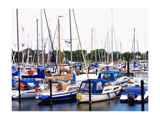 Ferienwohnung Windeby Außenaufnahme 18