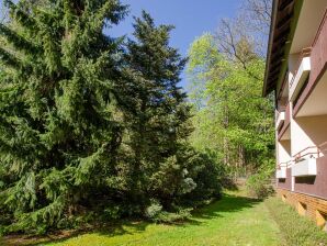 Ferienwohnung "Amselnest" - Bad Sachsa - image1