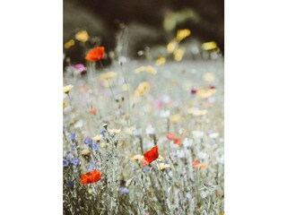 Ferienwohnung Pfronten Außenaufnahme 16