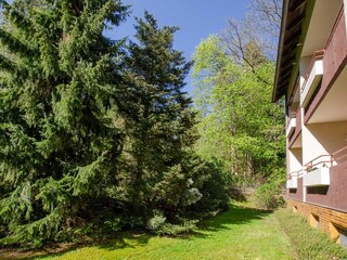 Ferienwohnung Bad Sachsa Außenaufnahme 2
