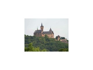 Ferienwohnung Wernigerode Außenaufnahme 3