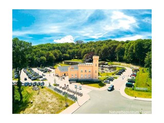 Ferienwohnung Putbus Außenaufnahme 15