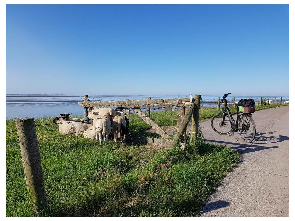 Ferienwohnung Nordseebad Eckwarderhörne Außenaufnahme 22