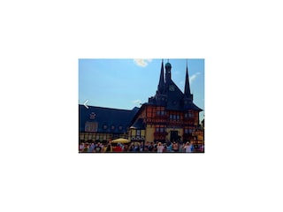 Ferienwohnung Wernigerode Außenaufnahme 19