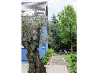 Großer Garten mit Liegestühlen