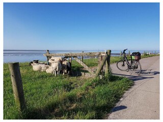 Ferienwohnung Nordseebad Eckwarderhörne Außenaufnahme 19