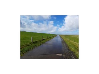 Ferienwohnung Tossens Außenaufnahme 21