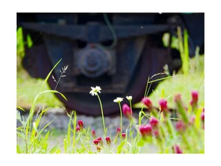 Ferienwohnung Putbus Außenaufnahme 2