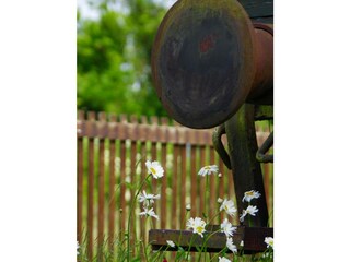 Ferienwohnung Putbus Außenaufnahme 20