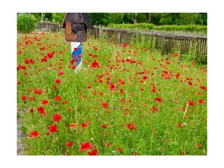 Ferienwohnung Putbus Außenaufnahme 22