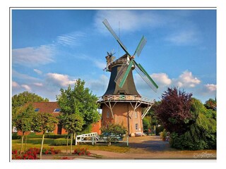 Ferienwohnung Esens Außenaufnahme 31