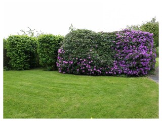 Ferienwohnung Burhave Außenaufnahme 3