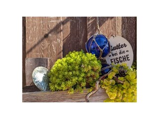 Ferienwohnung Neuharlingersiel Außenaufnahme 22