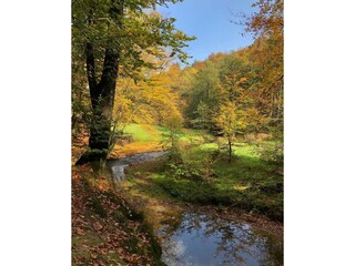 Ferienwohnung Leichlingen (Rheinland) Außenaufnahme 27
