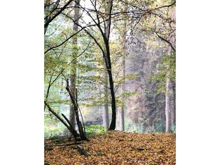 Ferienwohnung Leichlingen (Rheinland) Außenaufnahme 32