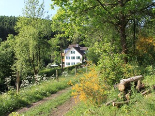 Appartamento per vacanze Bad Berleburg Registrazione all'aperto 8