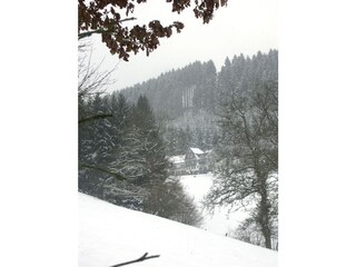 Appartamento per vacanze Bad Berleburg Registrazione all'aperto 13