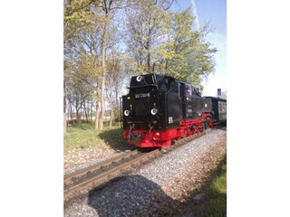 Ferienwohnung Putbus Außenaufnahme 23