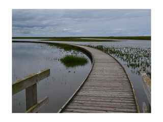 Ferienwohnung Burhave Außenaufnahme 39