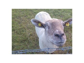 Ferienwohnung Burhave Außenaufnahme 41