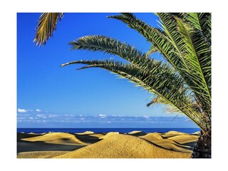 Ferienwohnung San Agustin (Gran Canaria) Außenaufnahme 29
