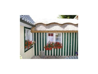 Ferienwohnung Putbus Außenaufnahme 3