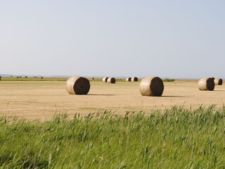 Die Kornfelder nach der Ernte