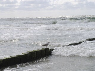 Wellengang lädt zum Baden ein!