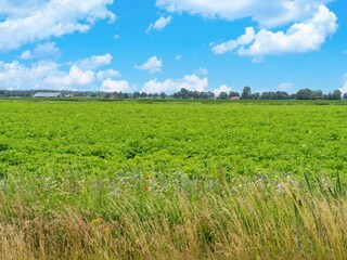 Holiday house Hattem Environment 34