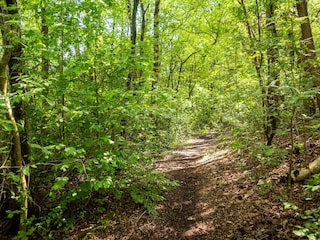 Casa per le vacanze Hattem Ambiente 36
