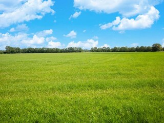 Casa per le vacanze Hattem Ambiente 33