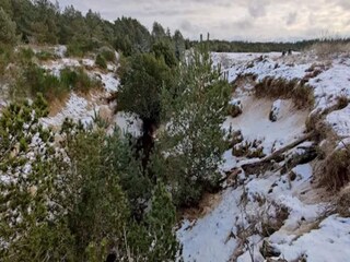 Casa per le vacanze Aalbæk  39