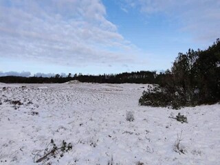 Casa per le vacanze Aalbæk  10
