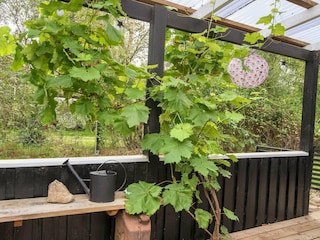 Ferienhaus Thyholm Außenaufnahme 3