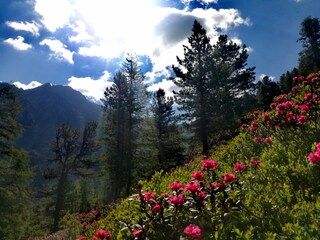 Appartamento Umhausen Ambiente 18