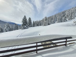 Holiday apartment Lenzerheide Features 24