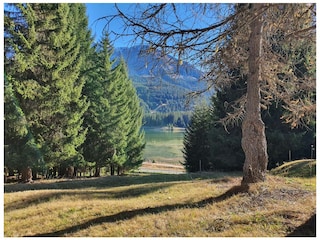 Ferienwohnung Lenzerheide Umgebung 35
