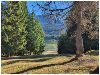 Holiday apartment Lenzerheide Environment 22