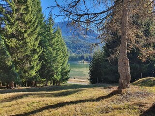 Landschaft