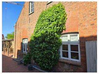 Ferienwohnung Hage Außenaufnahme 18