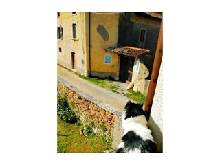 Ferienwohnung Toscolano-Maderno Außenaufnahme 20