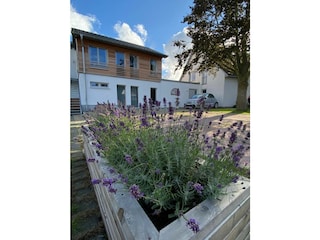 Ferienwohnung Nienhagen Außenaufnahme 21