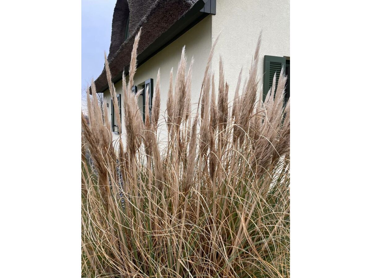 Ferienwohnung Glowe Außenaufnahme 1