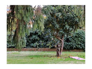 Ferienwohnung Rom Zentrum Außenaufnahme 22