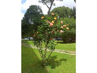 Ferienwohnung Rom Zentrum Außenaufnahme 25