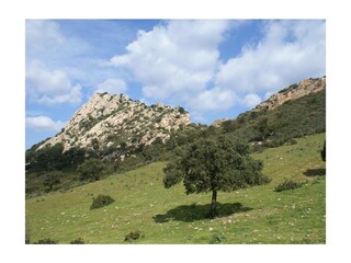 Ferienwohnung Porto San Paolo Außenaufnahme 22
