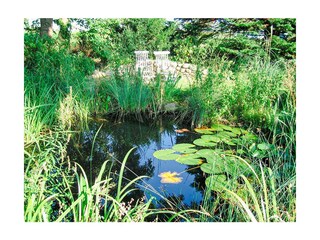 Ferienwohnung Glowe Außenaufnahme 14